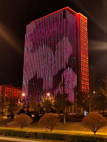 威海綠軸中(zhong)央商務區亮化工(gong)程